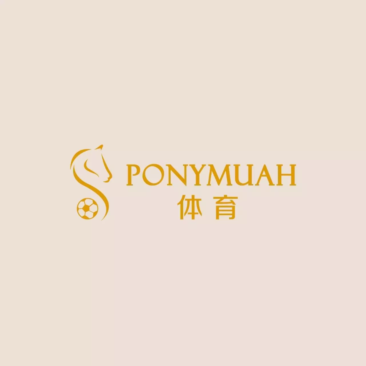 pm casino